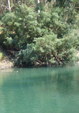  24/09/2010 Διάσκεψη για την προστασία του περιβάλλοντος στον τόπο του Βαπτίσματος του Κυρίου