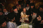 Ο Μακαριώτατος ευλογεί τα Βάϊα στη Βηθφαγή